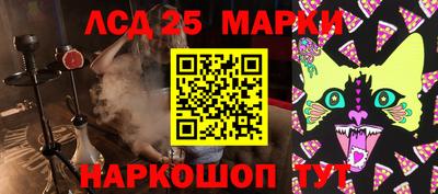 индика Гусев