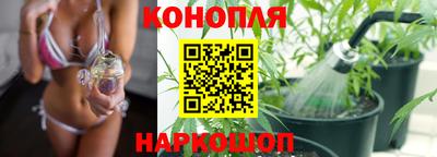 индика Гусев