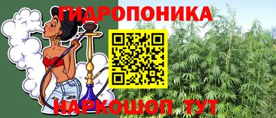 индика Гусев