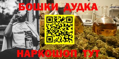 индика Гусев