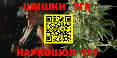 индика Гусев