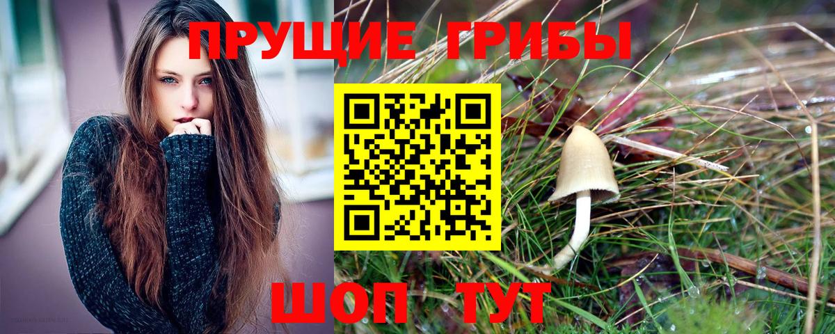 Псилоцибиновые грибы прущие грибы Избербаш