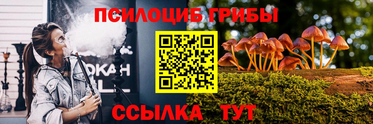 Избербаш  Галлюциногенные грибы Psilocybine cubensis  даркнет сайт  Вход с VPN 